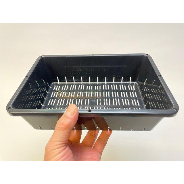 園芸用ミニコンテナ-小※ミニサイズ2.2L容量[空トレイ1枚売] : フラワー