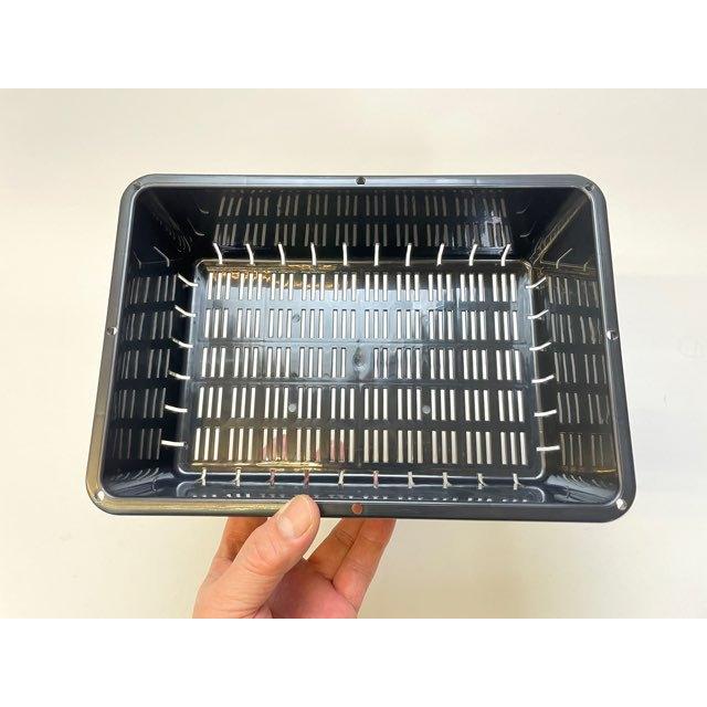 園芸用ミニコンテナ-小※ミニサイズ2.2L容量[空トレイ1枚売] : フラワー