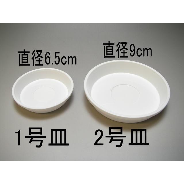 受皿-2号白(φ約9cm×高さ1.8cm)鉢皿※鉢底直径φ7.4cm迄の鉢がギリギリ