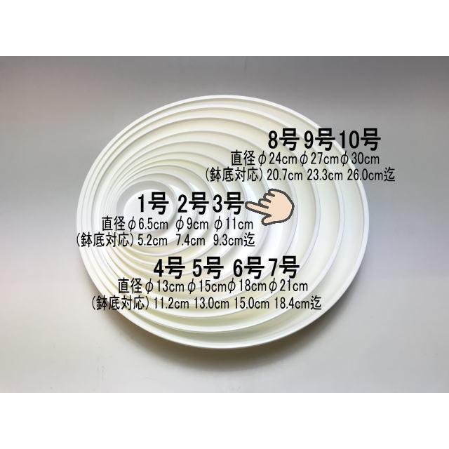 受皿-3号白(φ約11cm×高さ2.0cm)鉢皿※鉢底直径φ9.3cm迄の鉢がギリギリ