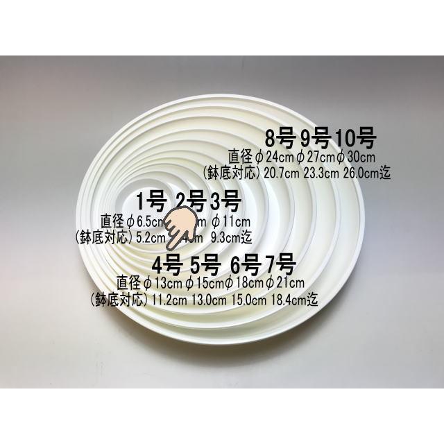 受皿-4号白(φ約13cm×高さ2.3cm)鉢皿※鉢底直径φ11.2cm迄の鉢がギリギリ