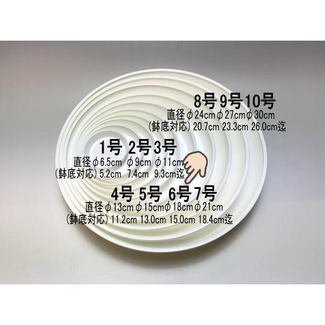 受皿-6号白(φ約18cm×高さ2.9cm)鉢皿※鉢底直径φ15.5cm迄の鉢がギリギリ