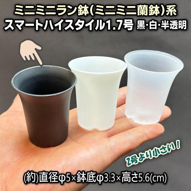 スマートハイスタイル1.7号【ミニミニラン鉢】プラ鉢-黒-超ミニ
