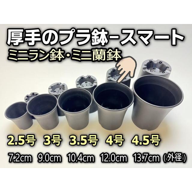ミニラン鉢・ミニ蘭鉢4号[黒]＊厚手のプラ鉢-スマート鉢＊多肉植物