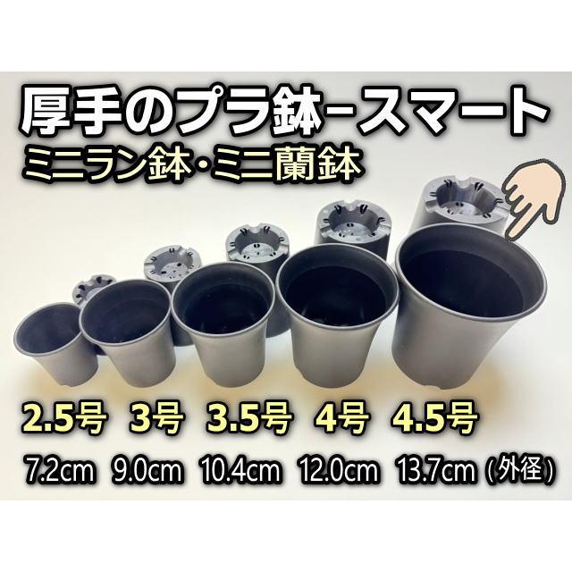 ミニラン鉢・ミニ蘭鉢4.5号[黒]＊厚手のプラ鉢-スマート鉢＠多肉