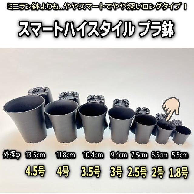スマートハイスタイル2号【ミニ：φ6.5cm】プラ鉢-黒※ミニラン鉢より