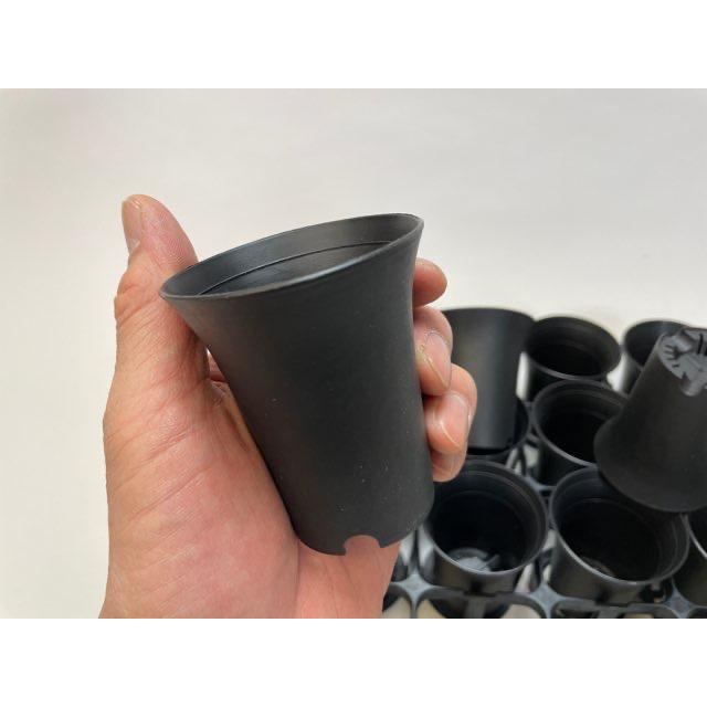 スマートハイスタイル2号プラ鉢-黒※ミニラン鉢・ミニ蘭鉢系細めロング