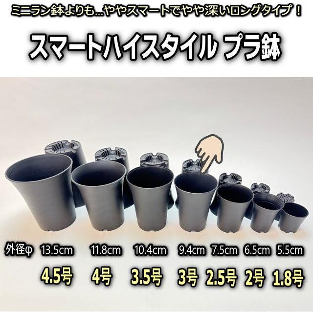 スマートハイスタイル3号【中：φ9.4cm】プラ鉢-黒＊底穴確認済