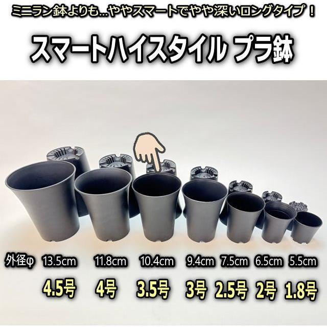 スマートハイスタイル3.5号【大：φ10.4cm】プラ鉢-黒※ミニラン鉢より
