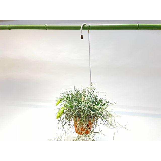 ポットハンガー(鉢吊り金具・鉢吊りワイヤー)全長(約)38〜39cm