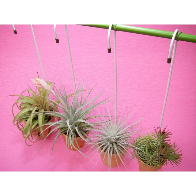 ポットハンガー(鉢吊り金具・鉢吊りワイヤー)全長(約)38〜39cm