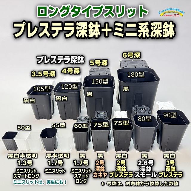 新)プレステラ120標準鉢(浅型鉢)-(硬質スリットポット4号)-黒[四角