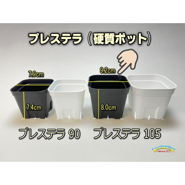 プラ鉢【A-25】105個+専用システムトレー黒3枚スリット鉢プレステラ多肉植物 プレステラ 通常型 黒 105 スリット入りプラ鉢 100個セット