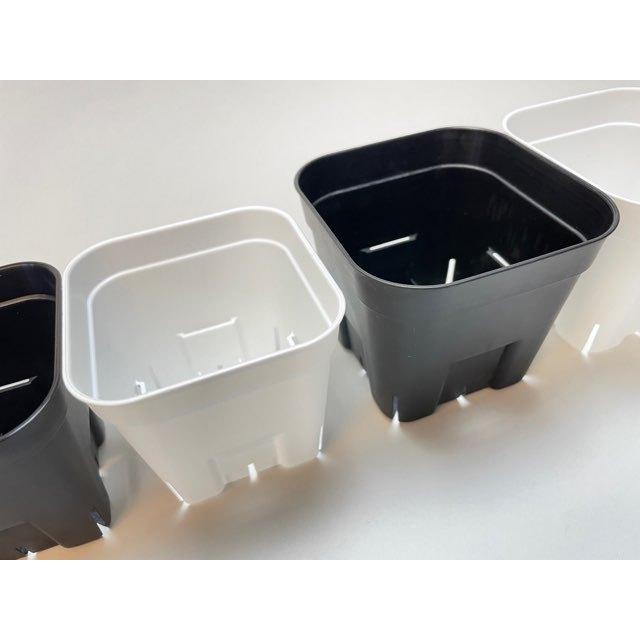 旧)プレステラ 105-(硬質スリットポット3.5号)-黒[四角]○-1鉢売