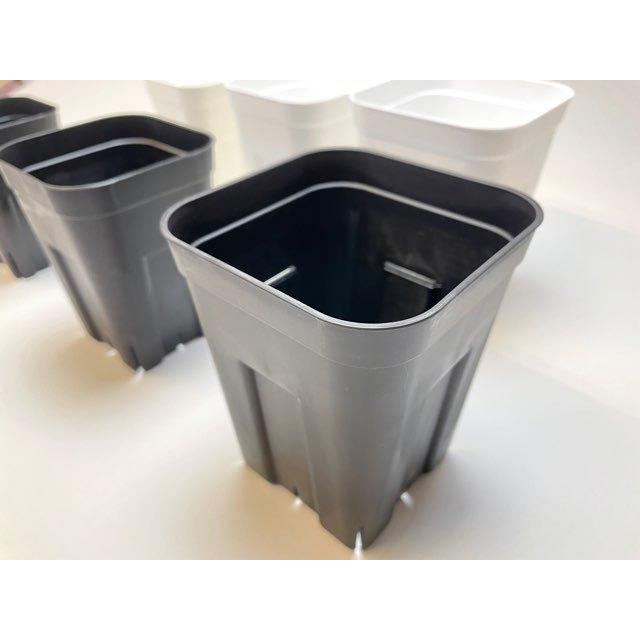 プレステラ深鉢 120-黒☆(硬質スリットポット)深型＠多肉植物・塊根