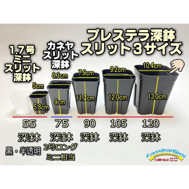 02 確認用　プレステラ120サイズ 02 確認用 プレステラ120サイズ プレステラ深鉢 120-白☆(硬質