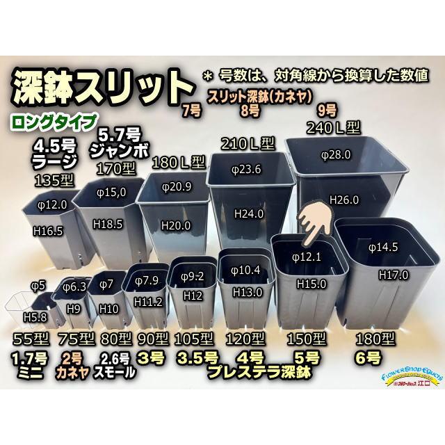 プレステラ深鉢 150-黒☆(硬質スリットポット)深型※5号鉢相当 プレステラ深鉢 150-黒☆(硬質スリットポット)深型※5号鉢相当