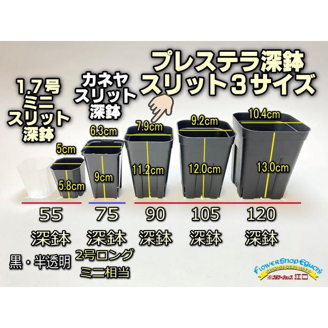 プレステラ深鉢 90-黒☆(硬質スリットポット)深型※1鉢売り＠多肉植物