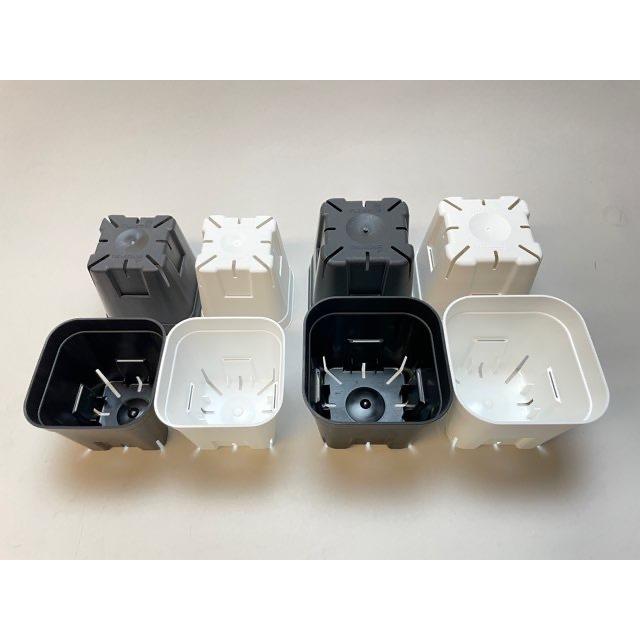 新)プレステラ 105-標準鉢(硬質スリットポット3.5号)-黒[四角]○＠多肉