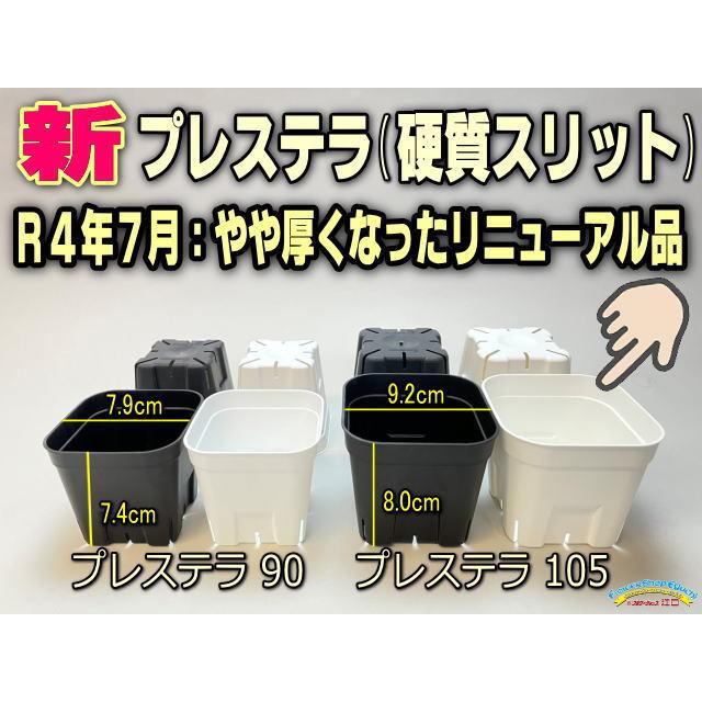 新)プレステラ 105-標準鉢(硬質スリットポット3.5号)-白[四角]○＠多肉