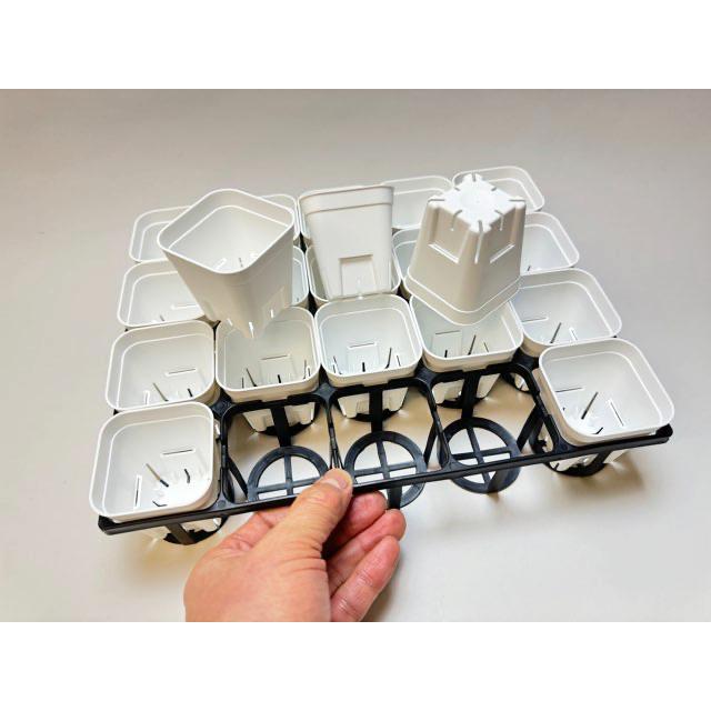 プレステラ75-(硬質スリットポット/スリット鉢2号相当)-白○[四角75型