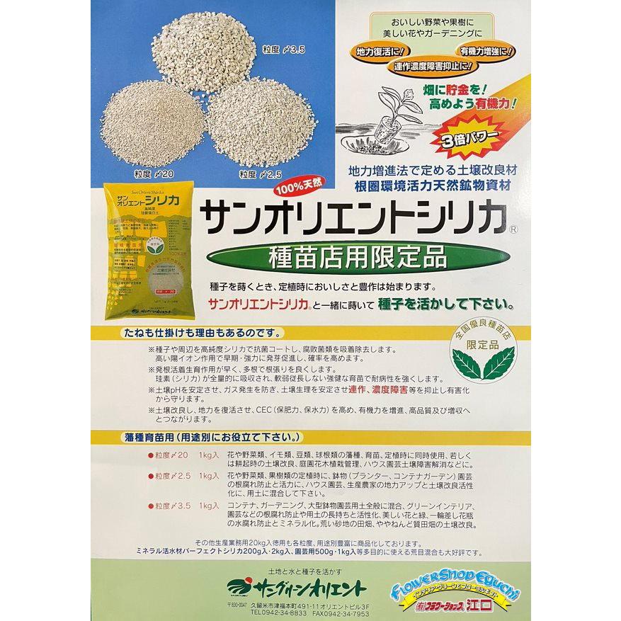 サンオリエントシリカ(粒度〆3.5:中粒)-1kg : フラワーショップ江口