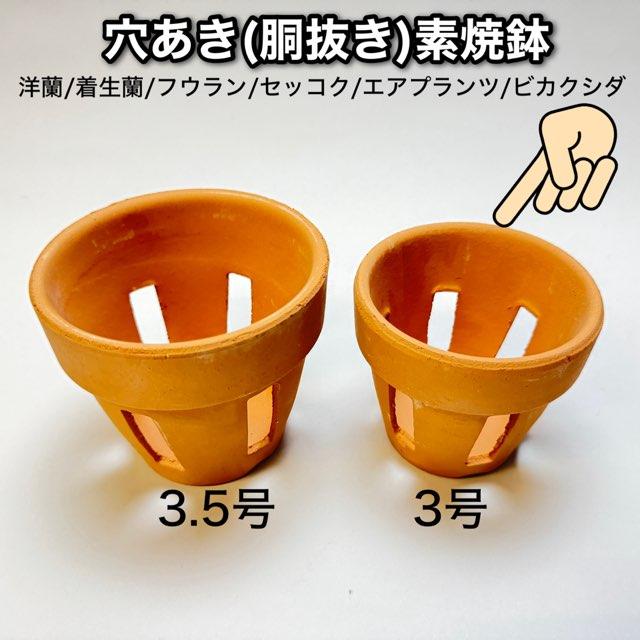 素焼き鉢 ishidaseikaen_sh-053