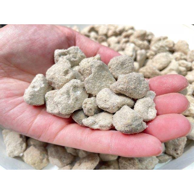 小袋-パミス(軽石＠鹿児島産:大粒/L/約1-2.5cm)-1L[無地袋