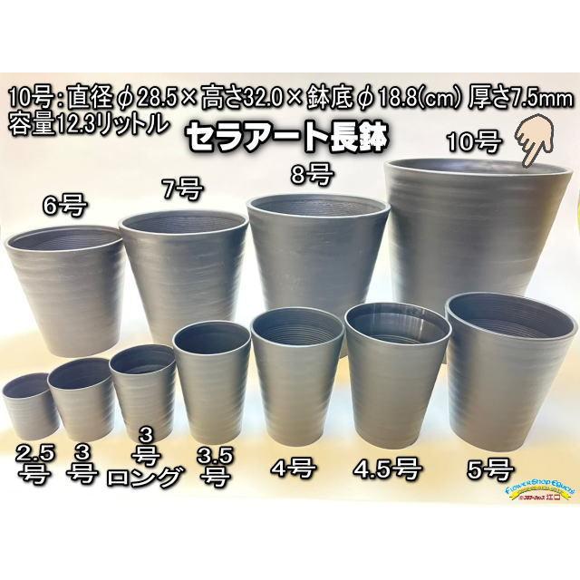 セラアート長鉢-10号/10寸(尺鉢)-黒(陶器風プラ鉢)＠多肉植物・塊根