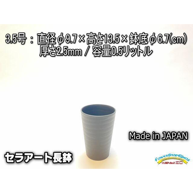 セラアート長鉢-3.5号/3.5寸-黒(陶器風プラ鉢)＠多肉植物・塊根植物
