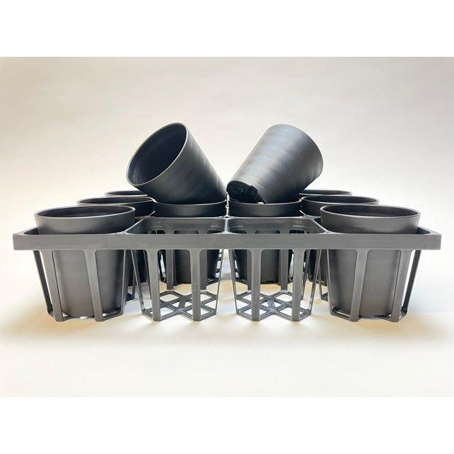 黒色多肉植物 陶器鉢入り 中型*3 01698d.jpg
