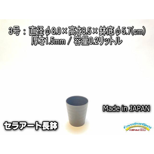 セラアート長鉢-3号/3寸-黒(陶器風プラ鉢)＠多肉植物・塊根植物