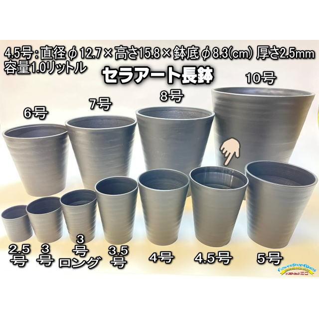 セラアート長鉢-4.5号/4.5寸-黒(陶器風プラ鉢)＠多肉植物・塊根