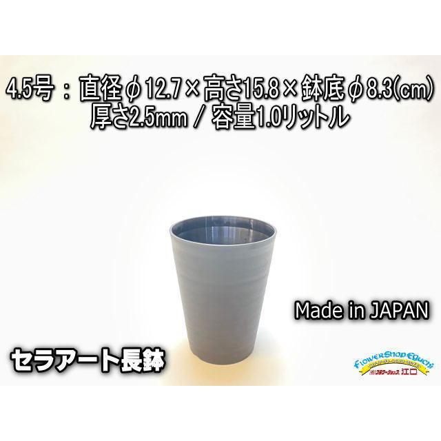 セラアート長鉢-4.5号/4.5寸-黒(陶器風プラ鉢)＠多肉植物・塊根植物