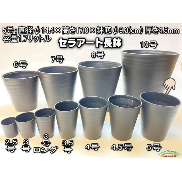 深鉢直径約１１.３センチ・高さ６.５センチ　五セット セラアート長鉢-5号/5寸-黒(陶器風プラ鉢)＠多肉植物・塊根植物