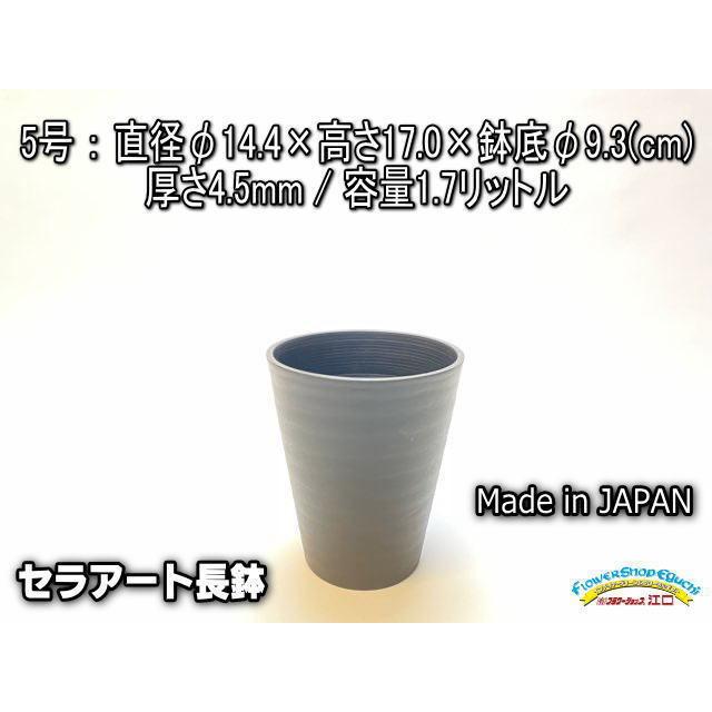 セラアート長鉢-5号/5寸-黒(陶器風プラ鉢)＠多肉植物・塊根植物