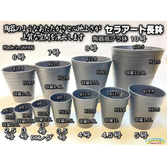 セラアート長鉢-5号/5寸-黒(陶器風プラ鉢)＠多肉植物・塊根植物