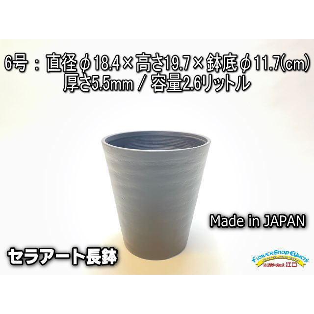 セラアート長鉢-6号/6寸-黒(陶器風プラ鉢)＠多肉植物・塊根植物