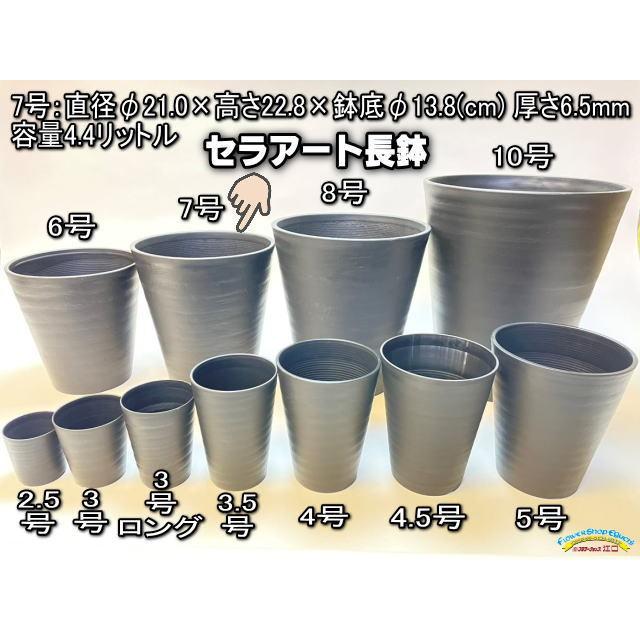 陶器風プラ鉢セラアート長鉢-7号-黒 :fse-sa7go:フラワーショップ江口Yahoo!店 - 通販 - Yahoo!ショッピング 陶器風プラ鉢セラアート長鉢-7号-黒 :fse-sa7go:フラワーショップ江口Yahoo!店 - 通販 - Yahoo!ショッピング