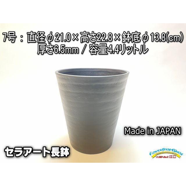 セラアート長鉢-7号/7寸-黒(陶器風プラ鉢)@多肉植物・塊根植物 セラアート長鉢-7号/7寸-黒(陶器風プラ鉢)@多肉植物・塊根植物