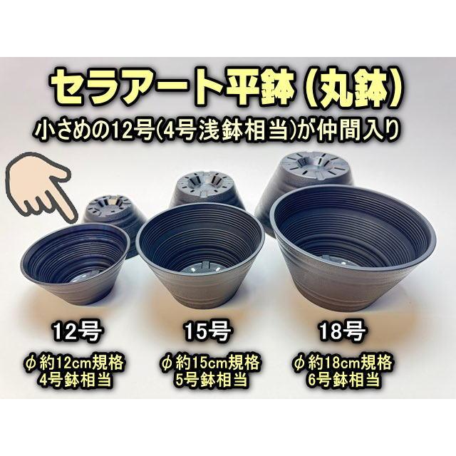 銅丸型火鉢 2個セット • バラ売可能 銅丸型火鉢 2個セット • バラ売可能 楽天市場】火鉢の通販