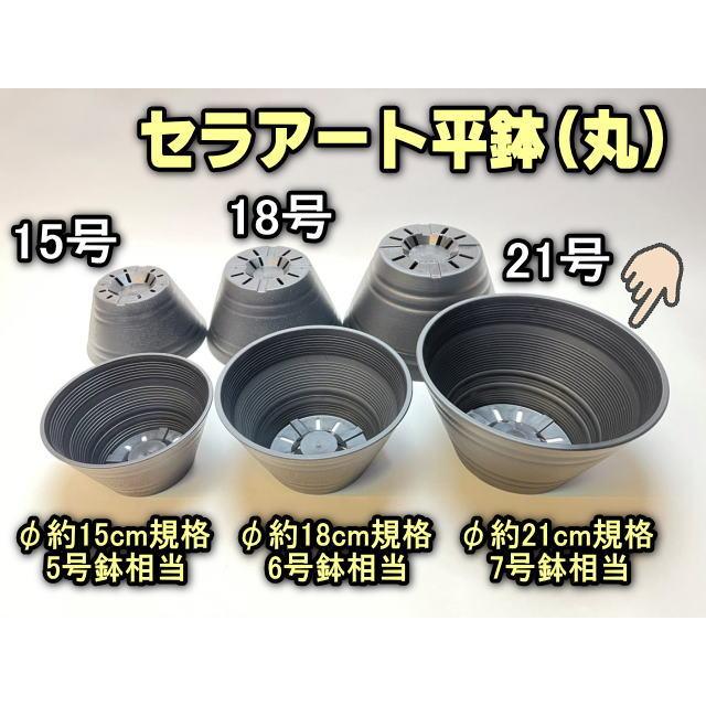 セラアート平鉢(丸鉢)-21号-黒(陶器風プラ鉢)(直径φ約21cm一般的 セラアート平鉢(丸鉢)-21号-黒(陶器風プラ鉢)(直径φ約21cm一般的