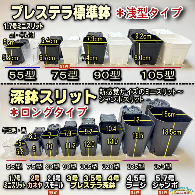 スリット深鉢135型四角-黒(4.5号鉢ロング相当)ラージサイズ※プレステラ