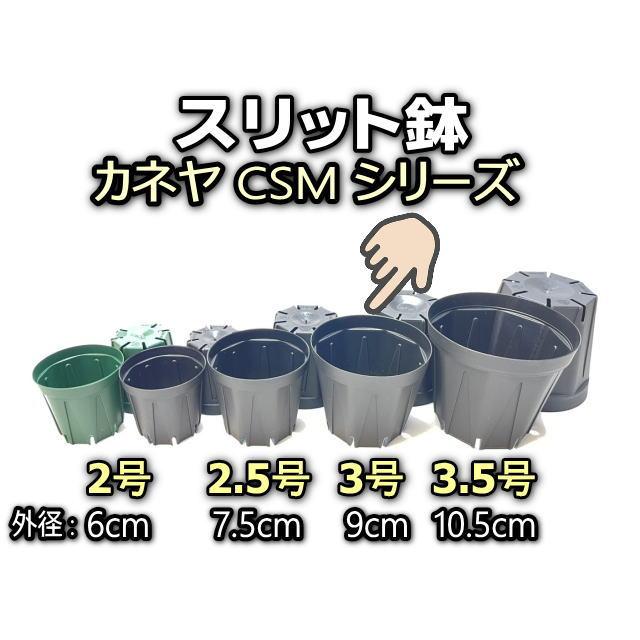 兼弥産業　スリット鉢　13号　8鉢 スリット鉢 CSM 兼弥産業 鉢・ポット 【通販モノタロウ】