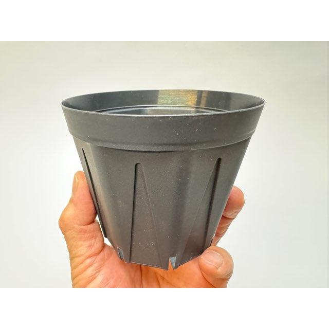 スリット鉢-3.5号(CSM-105)黒(カネヤ:ブラック)@多肉植物 スリット鉢-3.5号(CSM-105)黒(カネヤ:ブラック)@多肉植物
