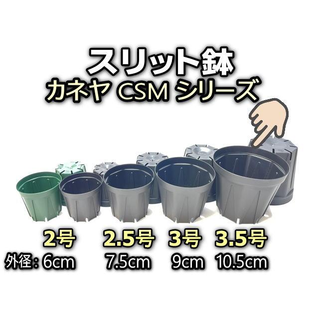 スリット鉢-3.5号(CSM-105)黒(カネヤ：ブラック)＠多肉植物・塊根植物
