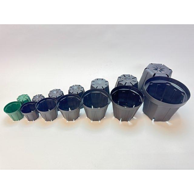 美株　ソテツ　　極太　黒鉢付 Amazon.co.jp: BLACK PLASTIC POT【STANDARD TYPE】5号 黒 プラ