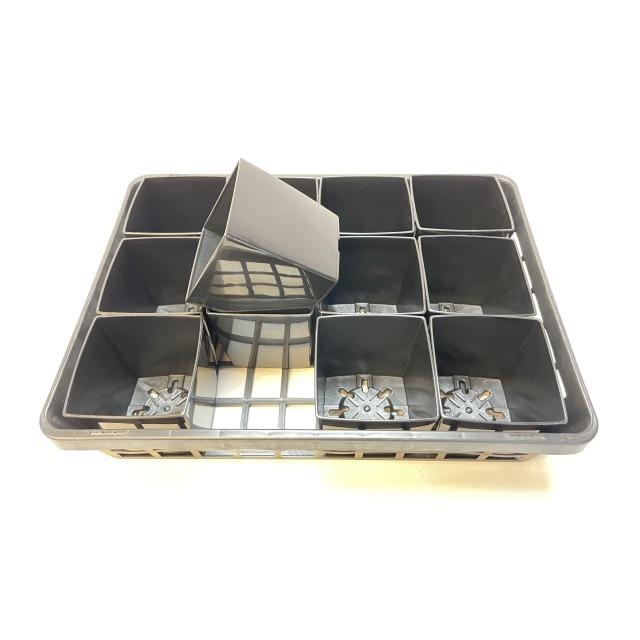 生産者仕様の園芸トレイ：黒 (ハーフ)＋3.5号-スクウェアどっしり型