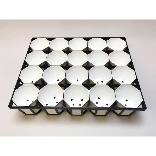 7.5cmポットや2号鉢用四角型枠トレイ：ハーフ標準型[H6.4cm]-20鉢用＋