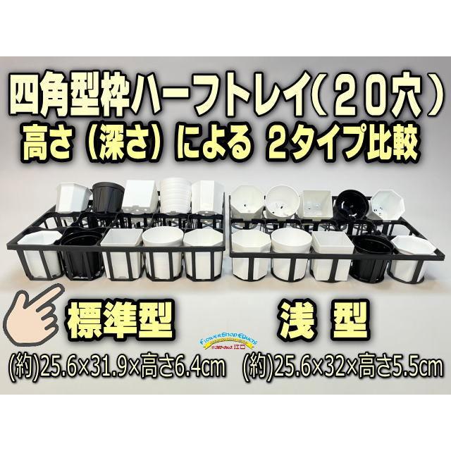 7.5cmポットや2号鉢用四角型枠トレイ：ハーフ標準型[H6.4cm]20鉢用＋